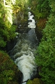 Vancouver Island 'Englishman River Falls Park' 27_09_2011 (37)